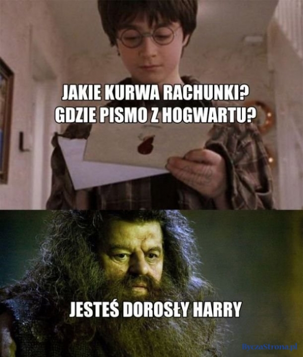 Jesteś dorosły Harry