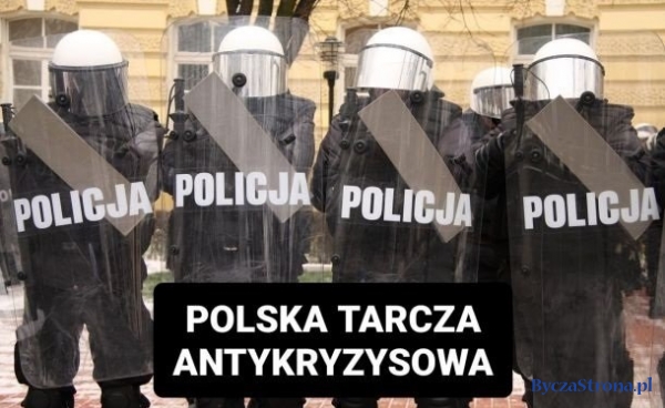 Polska tarcza antykryzysowa