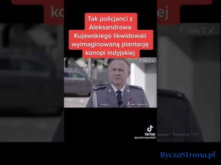 Tak policjanci z Aleksandrowa Kujawskiego likwidowali wyimaginowaną...
