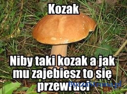 kozak